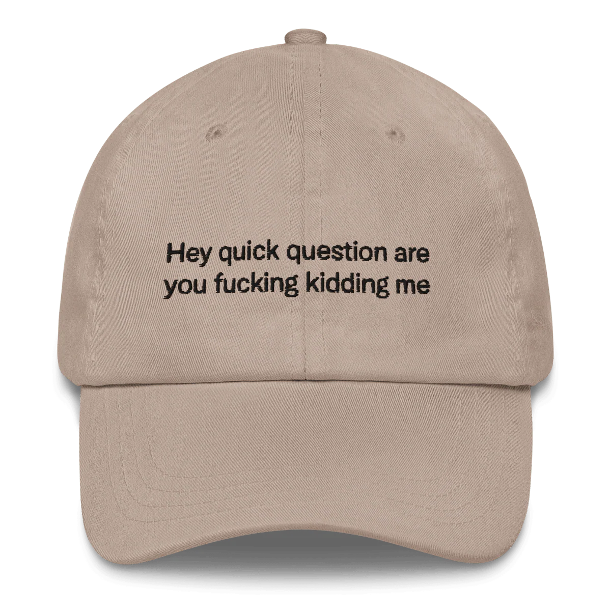 Hey quick question are you fucking kidding me Embroidered Hat - Image 7