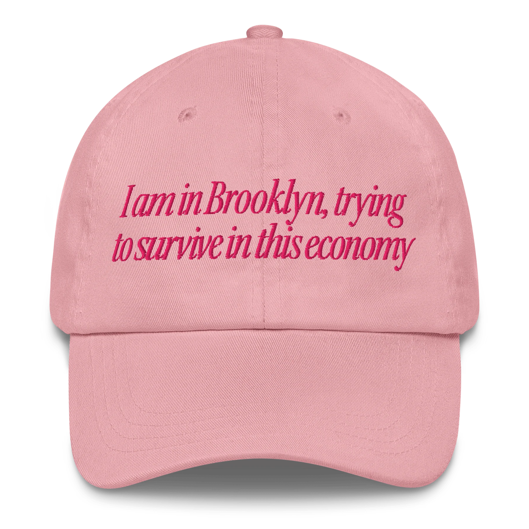 I Am in Brooklyn, Trying to Survive In This Economy Hat - Image 3