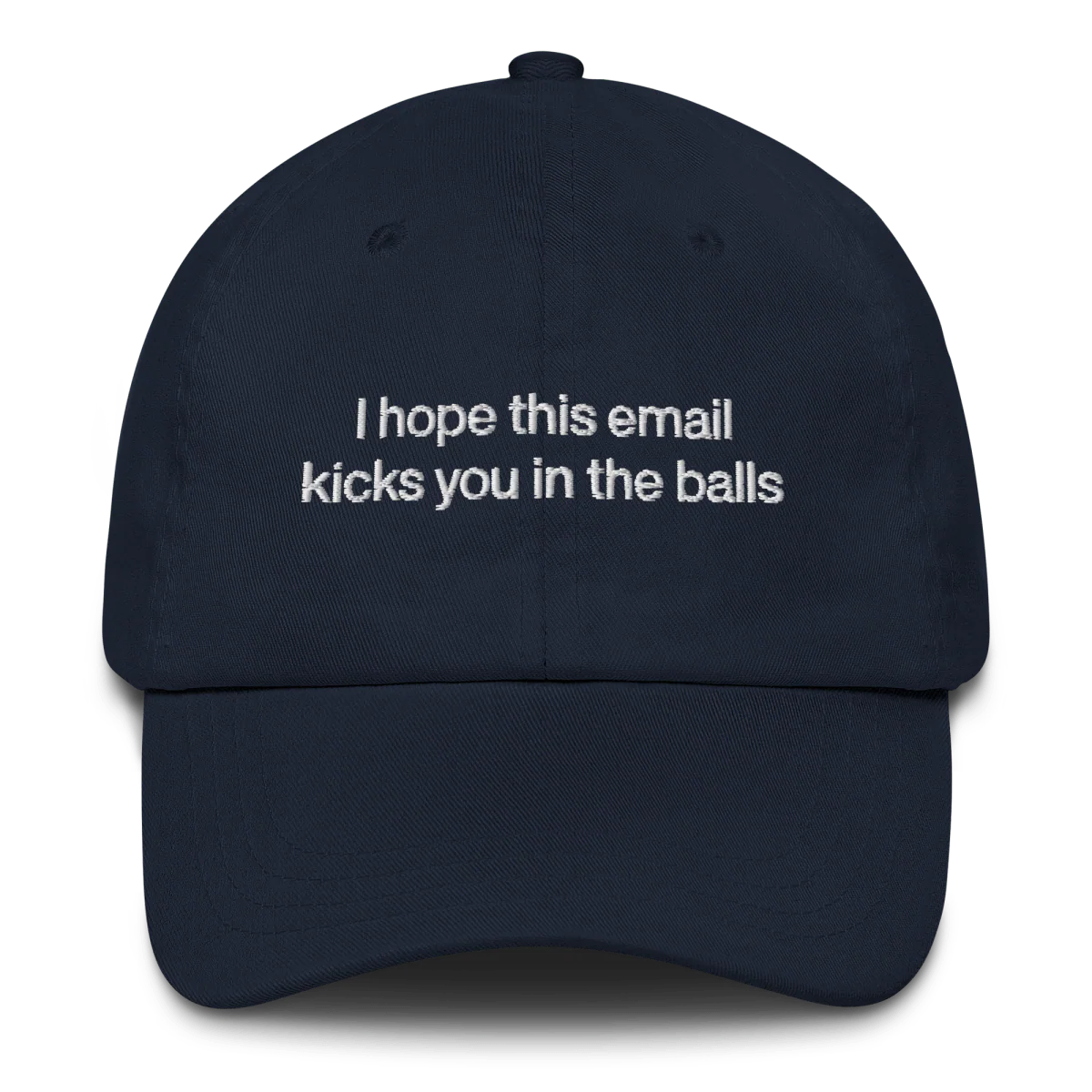 I hope this email kicks you in the balls Embroidered Hat - Image 3