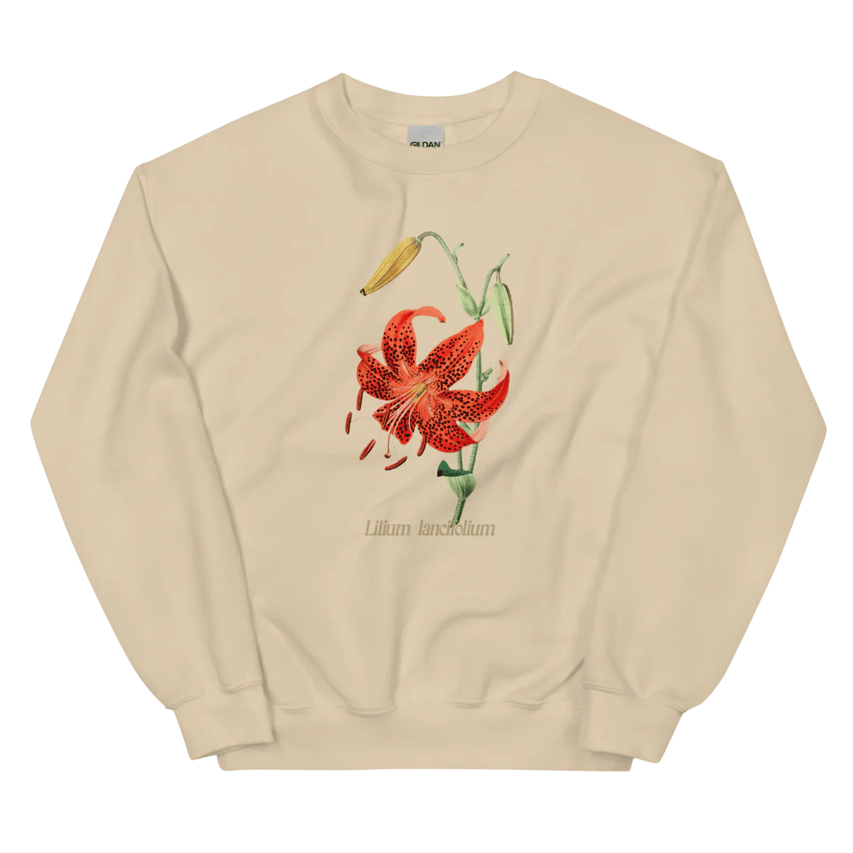 Lilium Lancifolium Tiger Lily Flower Sweatshirt - Image 3