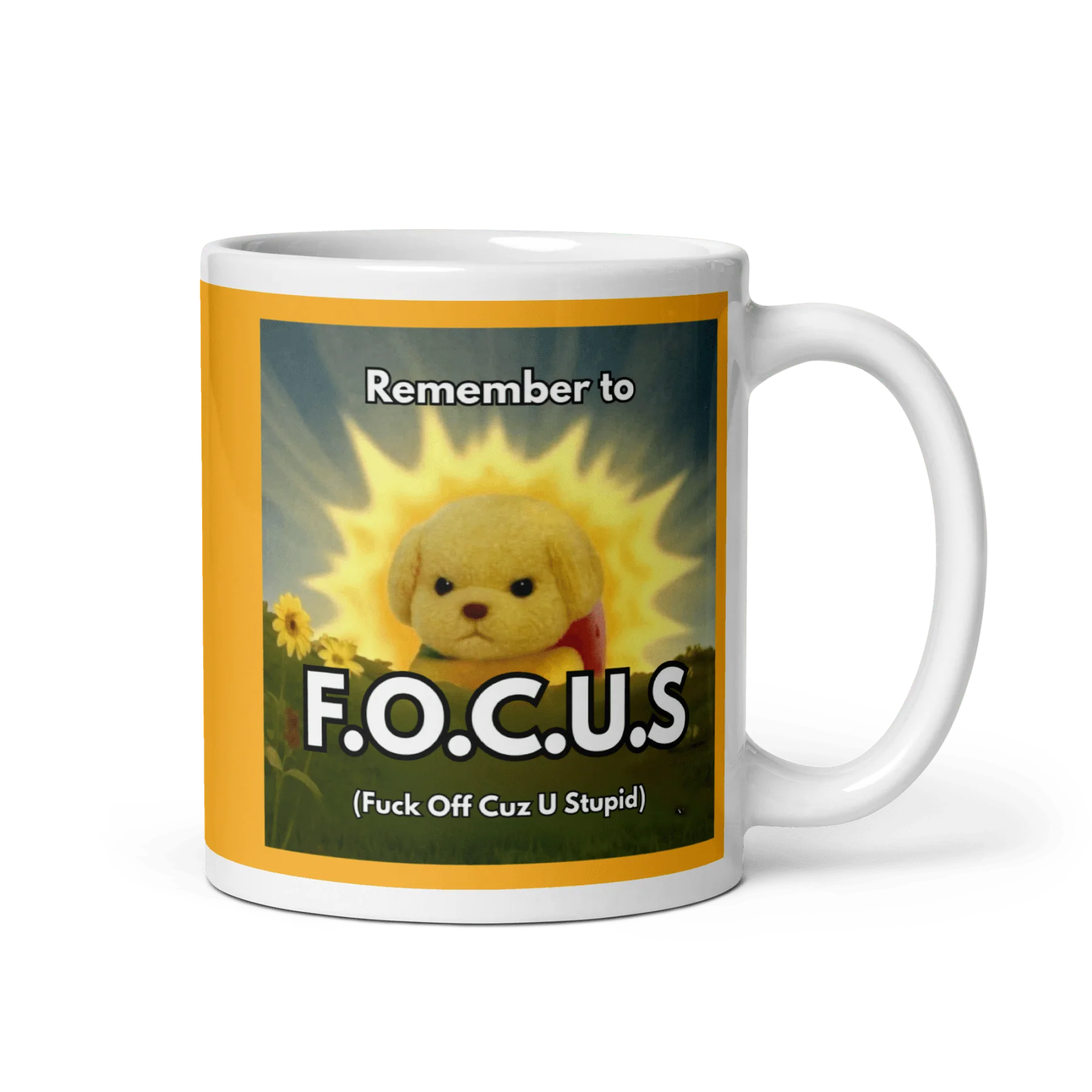 Remember to FOCUS (Fuck Off Cuz U Stupid) Mug